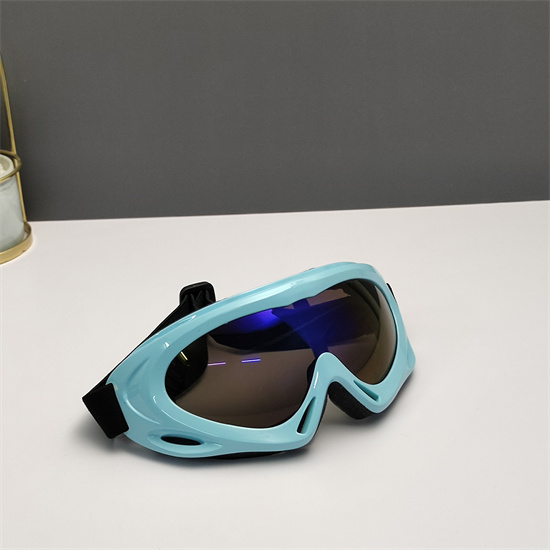 Oakley Ski Goggles 014